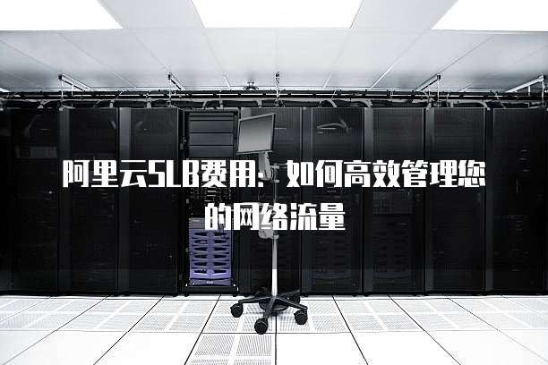 阿里云SLB费用：如何高效管理您的网络流量