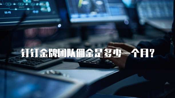 钉钉金牌团队佣金是多少一个月?