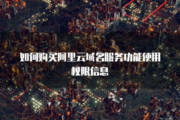 如何购买阿里云域名服务功能使用权限信息
