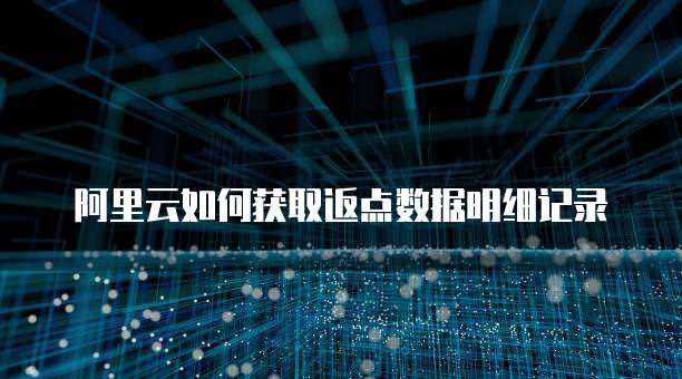 阿里云如何获取返点数据明细记录