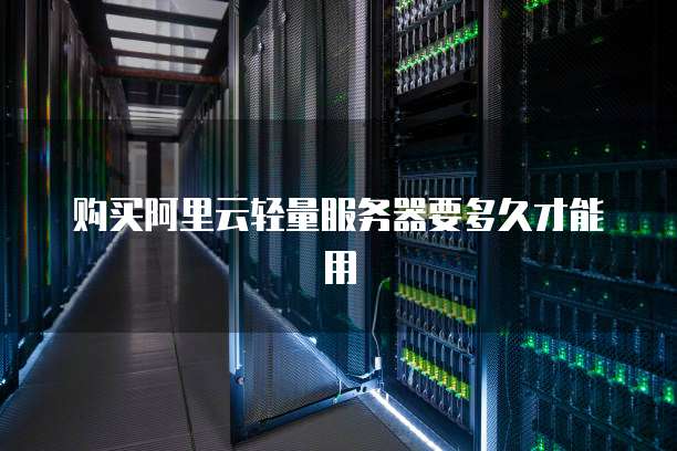 购买阿里云轻量服务器要多久才能用