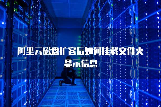 阿里云磁盘扩容后如何挂载文件夹显示信息