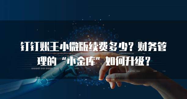 钉钉账王小微版续费多少?财务管理的“小金库”如何升级?