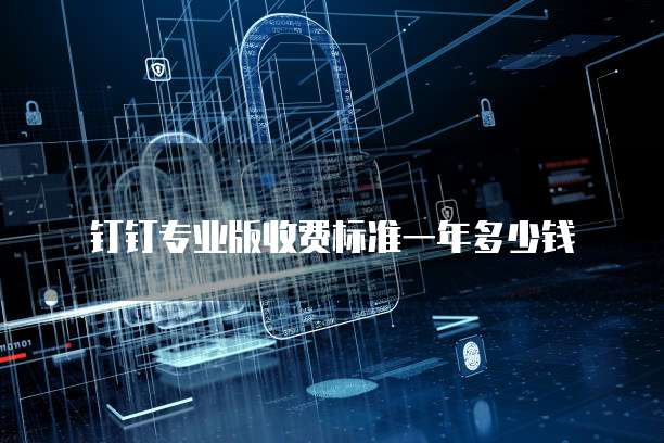 钉钉专业版收费标准一年多少钱