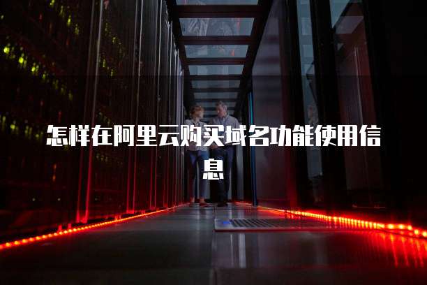 怎样在阿里云购买域名功能使用信息