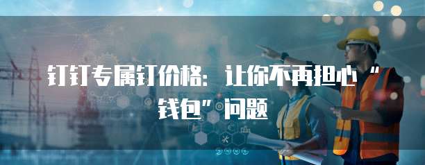 钉钉专属钉价格:让你不再担心“钱包”问题