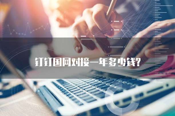 钉钉国网对接一年多少钱?