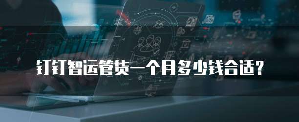 钉钉智运管货一个月多少钱合适？