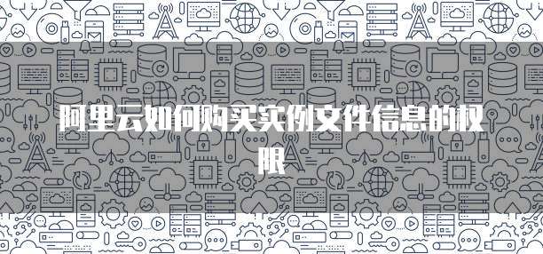 阿里云如何购买实例文件信息的权限