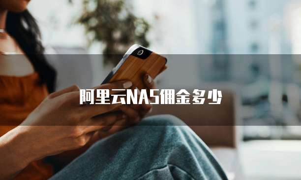 阿里云NAS佣金多少