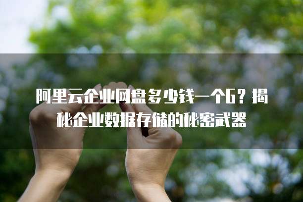 阿里云企业网盘多少钱一个G?揭秘企业数据存储的秘密武器