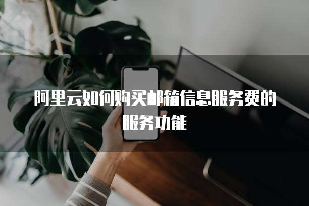 阿里云如何购买邮箱信息服务费的服务功能