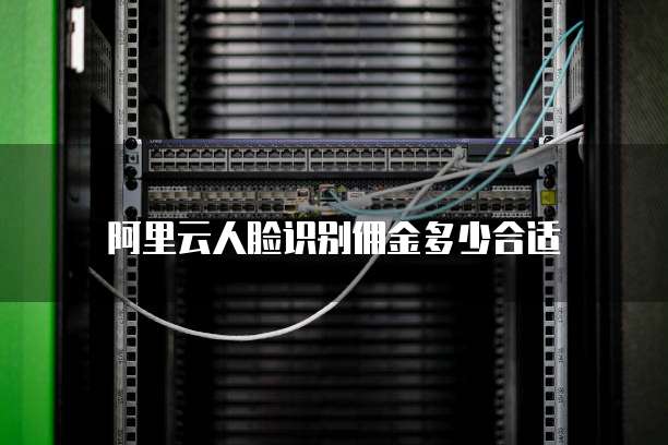 阿里云人脸识别佣金多少合适