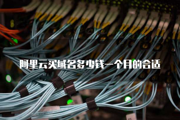 阿里云买域名多少钱一个月的合适