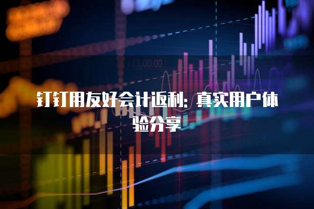 钉钉用友好会计返利: 真实用户体验分享