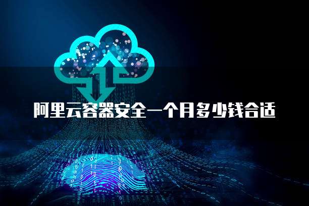 阿里云容器安全一个月多少钱合适