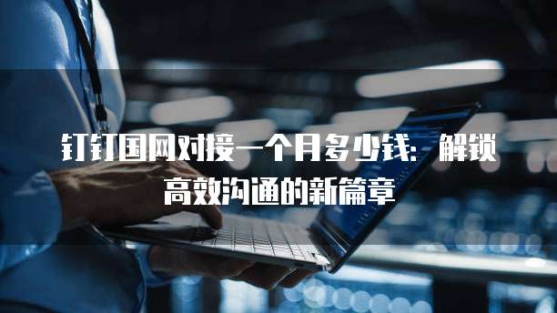 钉钉国网对接一个月多少钱:解锁高效沟通的新篇章