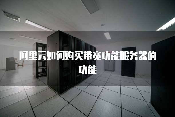 阿里云如何购买带宽功能服务器的功能