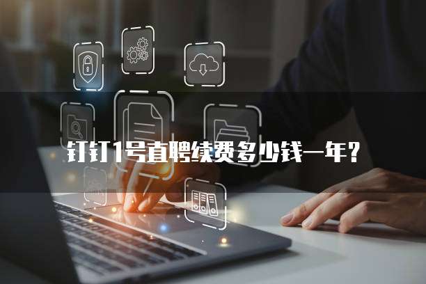 钉钉1号直聘续费多少钱一年?