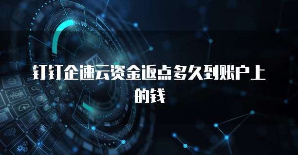 钉钉企速云资金返点多久到账户上的钱