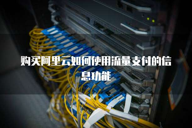 购买阿里云如何使用流量支付的信息功能