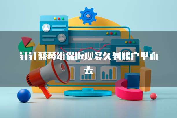 钉钉蓝莓维保返现多久到账户里面去