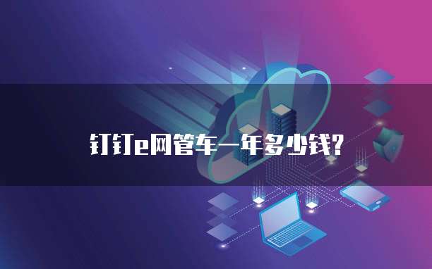 钉钉e网管车一年多少钱?