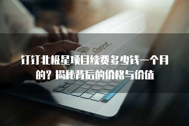 钉钉北极星项目续费多少钱一个月的?揭秘背后的价格与价值