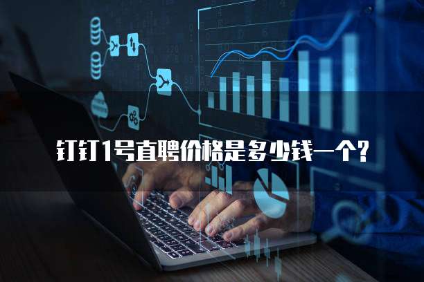 钉钉1号直聘价格是多少钱一个?