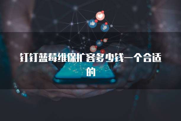 钉钉蓝莓维保扩容多少钱一个合适的