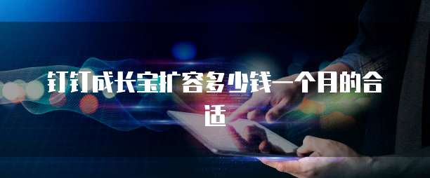 钉钉成长宝扩容多少钱一个月的合适