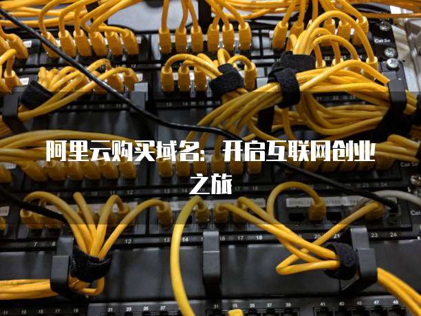 阿里云购买域名：开启互联网创业之旅
