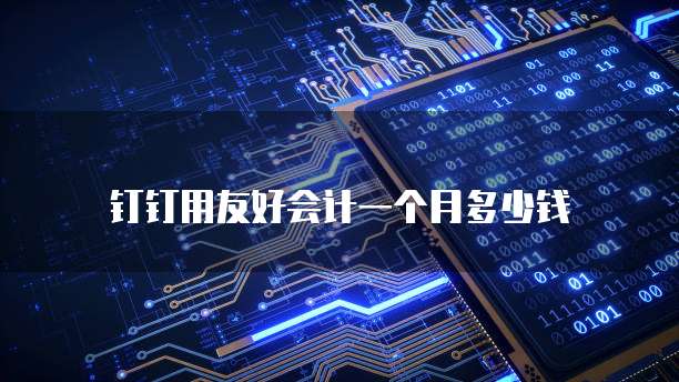 钉钉用友好会计一个月多少钱