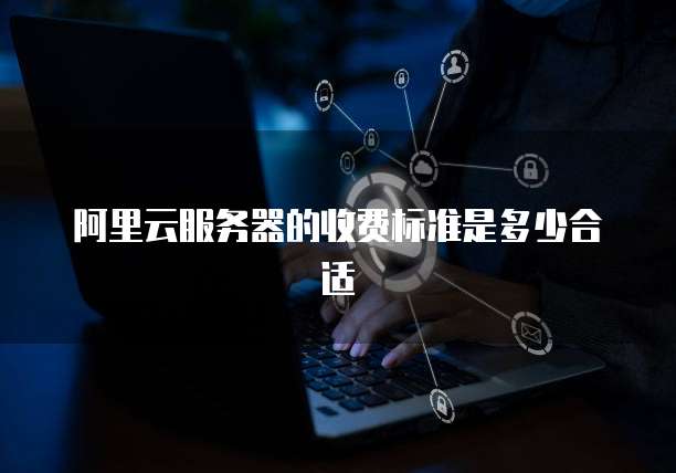 阿里云服务器的收费标准是多少合适