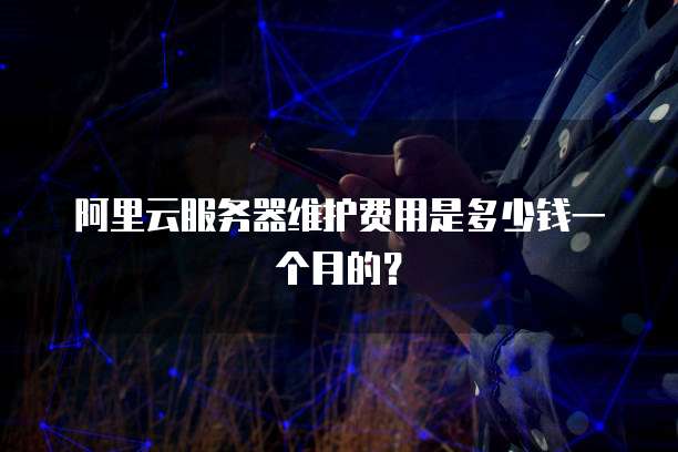阿里云服务器维护费用是多少钱一个月的?