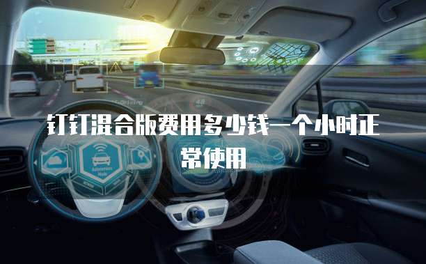 钉钉混合版费用多少钱一个小时正常使用