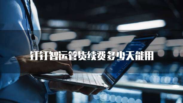 钉钉智运管货续费多少天能用