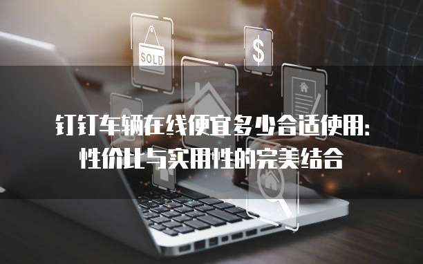 钉钉车辆在线便宜多少合适使用：性价比与实用性的完美结合