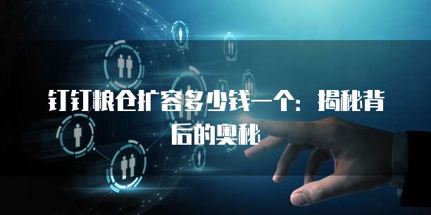 钉钉粮仓扩容多少钱一个:揭秘背后的奥秘