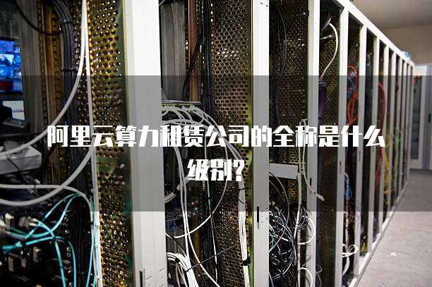 阿里云算力租赁公司的全称是什么级别?