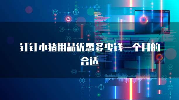 钉钉小猪用品优惠多少钱一个月的合适