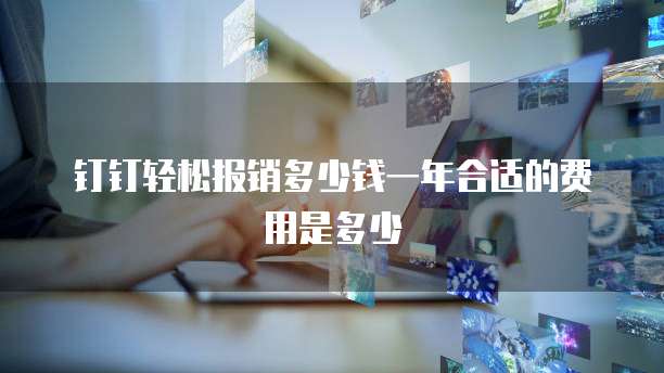 钉钉轻松报销多少钱一年合适的费用是多少