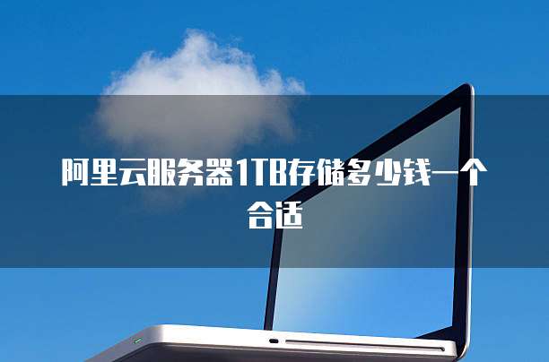 阿里云服务器1TB存储多少钱一个合适