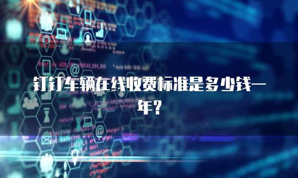 钉钉车辆在线收费标准是多少钱一年？