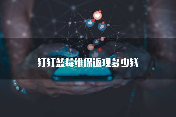 钉钉蓝莓维保返现多少钱