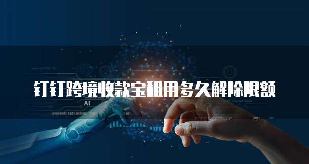 钉钉跨境收款宝租用多久解除限额