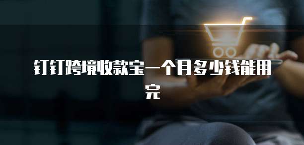 钉钉跨境收款宝一个月多少钱能用完