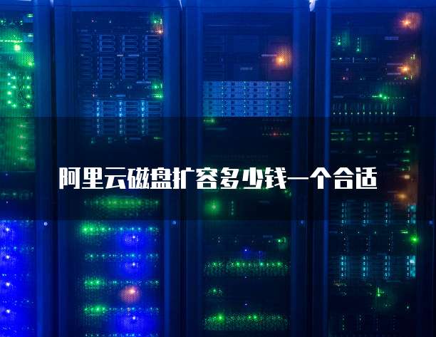 阿里云磁盘扩容多少钱一个合适
