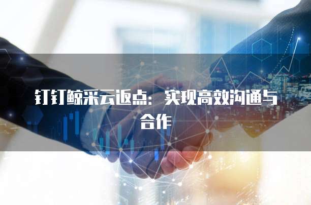 钉钉鲸采云返点：实现高效沟通与合作
