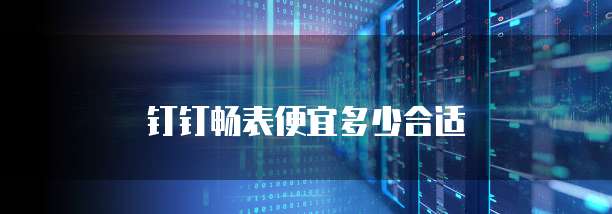 钉钉畅表便宜多少合适